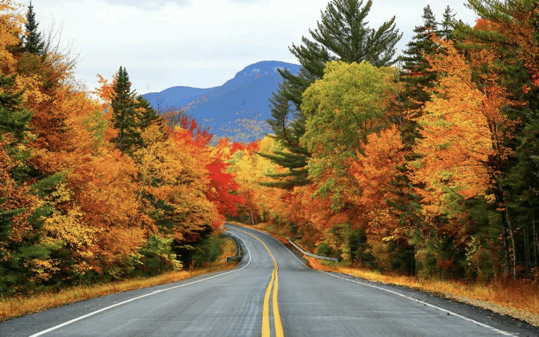 Scenic asphalt highway winding through colorful autumn foliage towards distant mountains